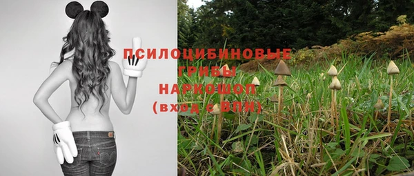 экстази Баксан