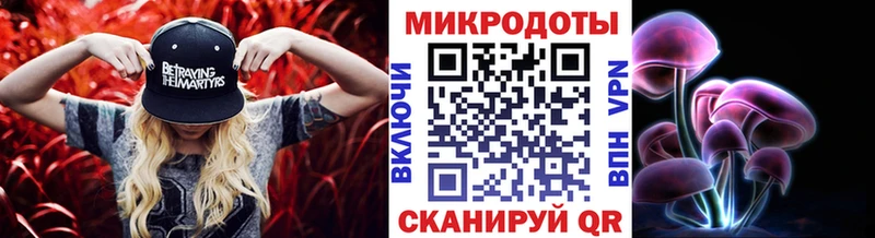 Галлюциногенные грибы Psilocybine cubensis  omg онион  Боготол 